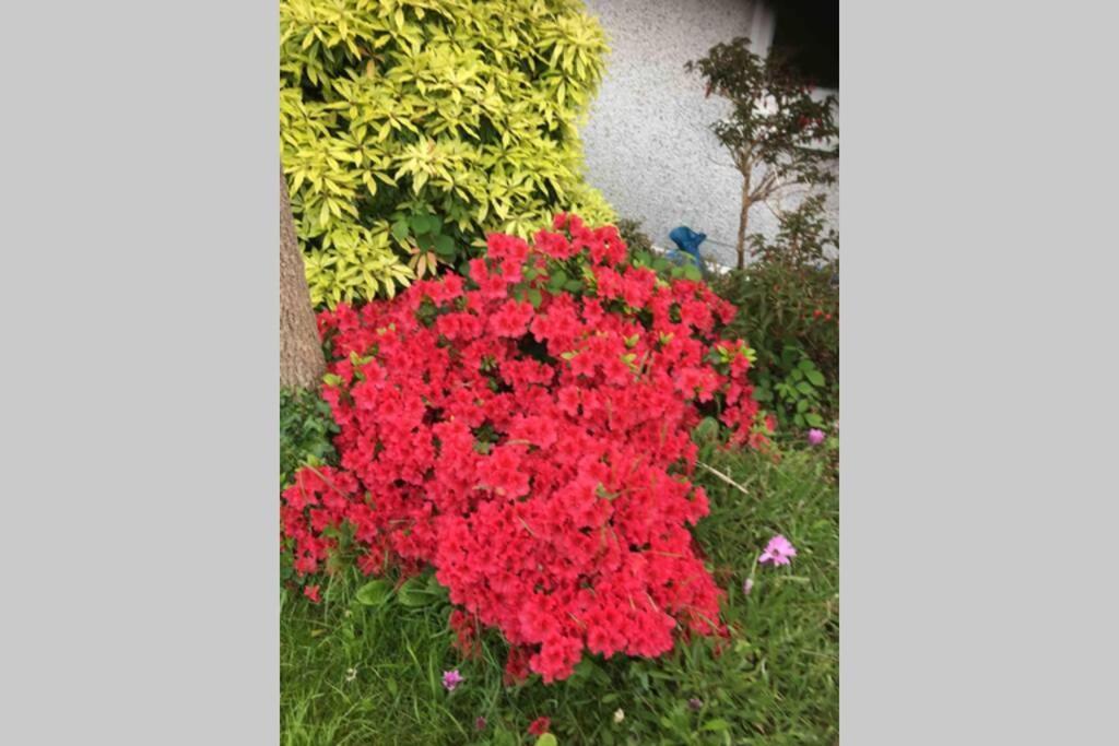 Lovely 3 Bed House Close To Carlyon Bay Beach! Екстер'єр фото